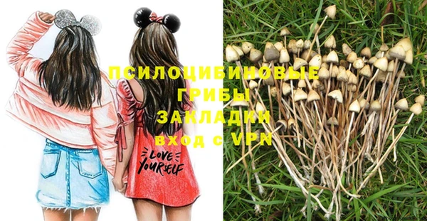 прущая мука Абаза