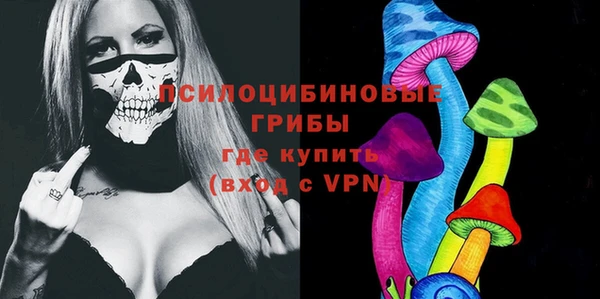 сатива Алексин