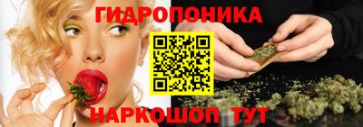 МДПВ Можайск