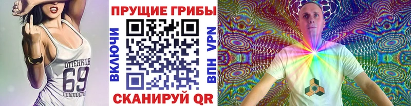 наркотики  Курск  Псилоцибиновые грибы ЛСД 
