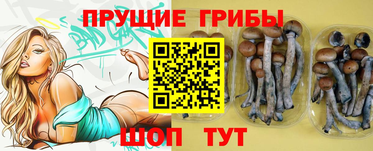 Псилоцибиновые грибы мицелий Курск