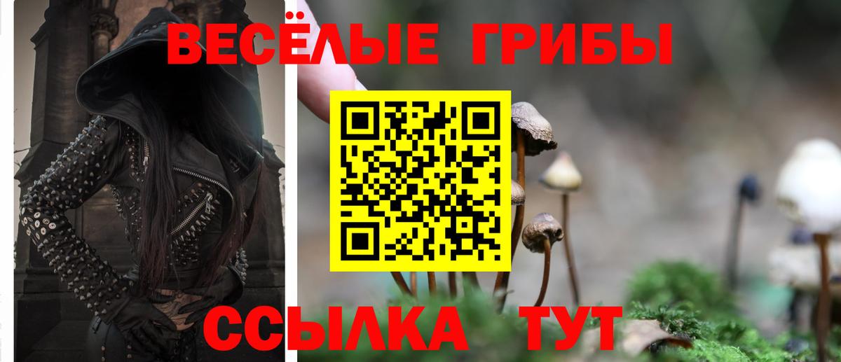 Курск  Галлюциногенные грибы мицелий  Вход с VPN 